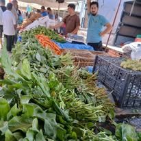 مخيم مادبا / مادبا - الأردن، صفحة حكاية المخيم