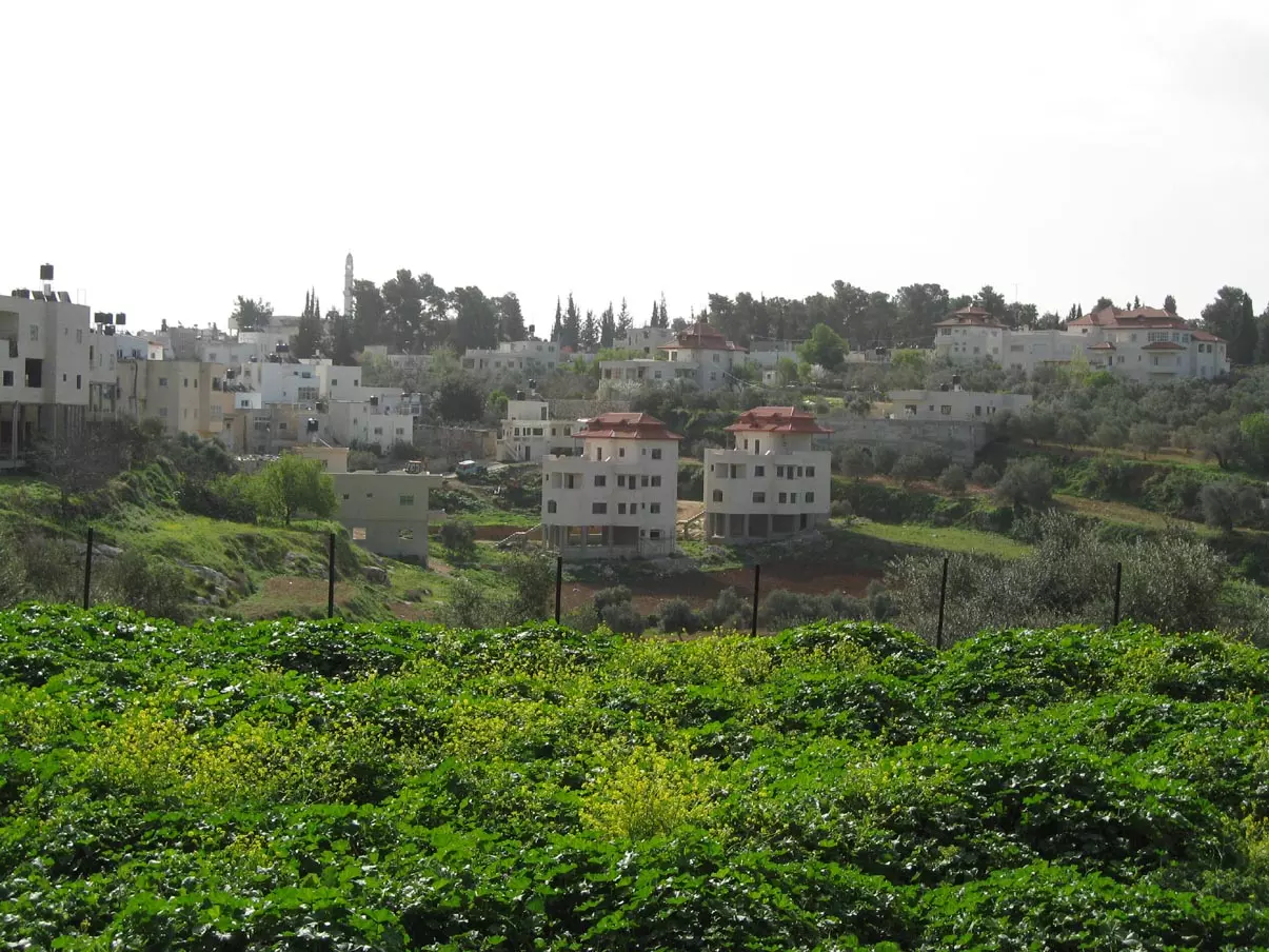 مخيم دير عمار  | موسوعة المخيمات الفلسطينية