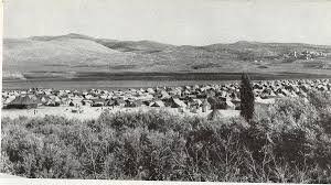 تأسيس مخيم بلاطة  | موسوعة المخيمات الفلسطينية