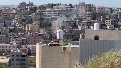 تأسيس مخيم نور شمس  | موسوعة المخيمات الفلسطينية