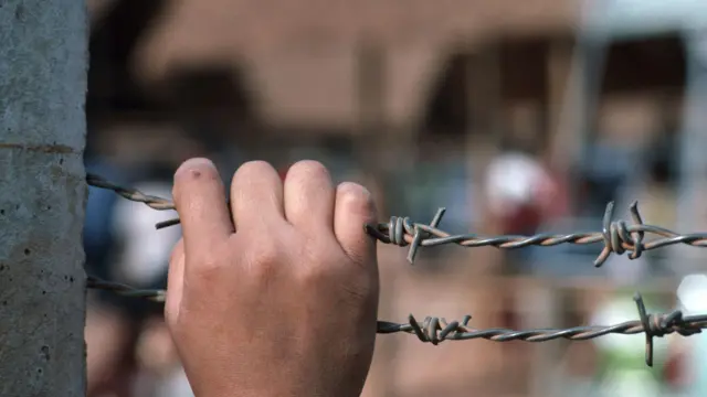 اللاجئون الفلسطنيون في مصر اللاجئون الفلسطنيون في مصر