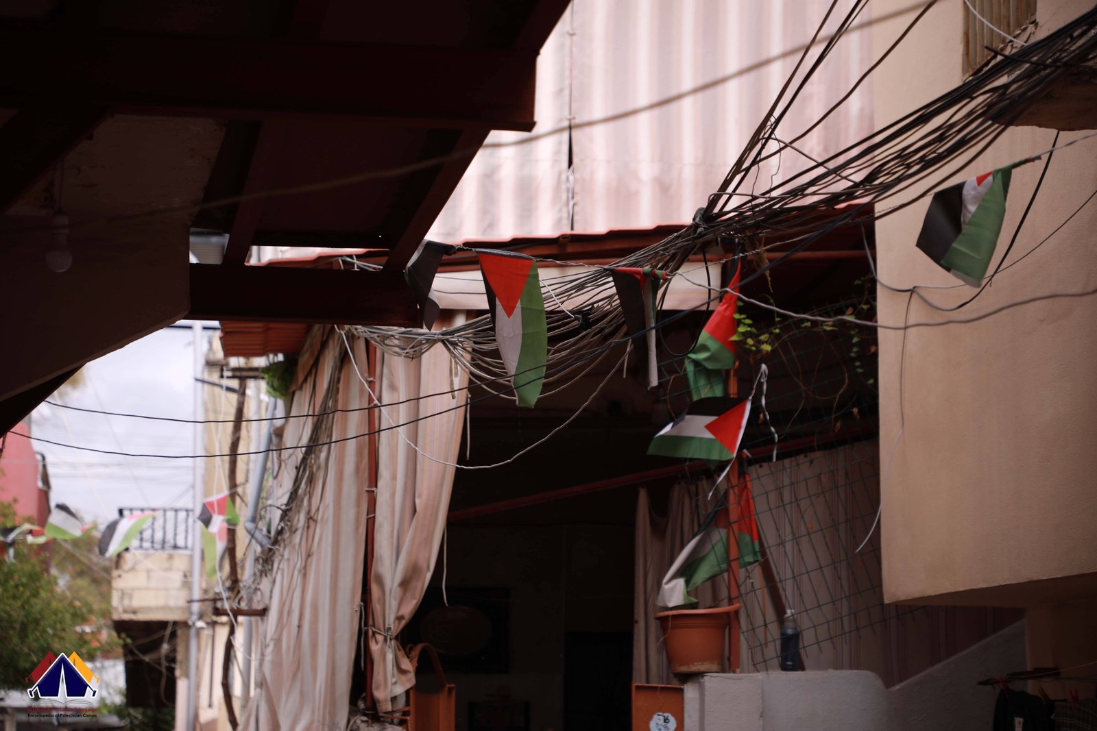 تأسيس مخيم البص  | موسوعة المخيمات الفلسطينية