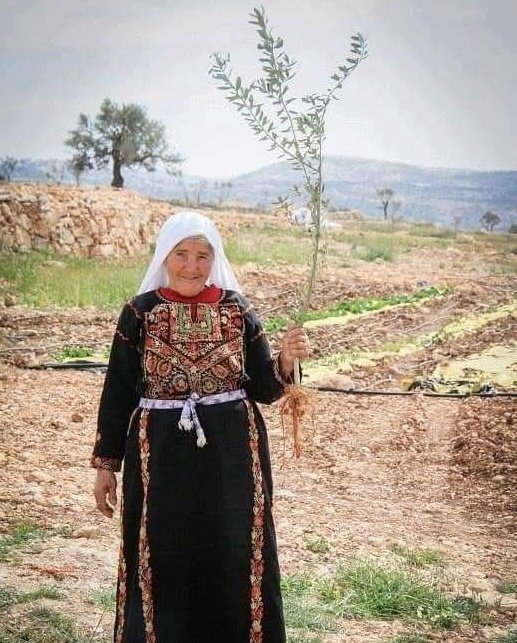 من روائع الشاعر محمود درويش ... عن الصمود  | موسوعة المخيمات الفلسطينية