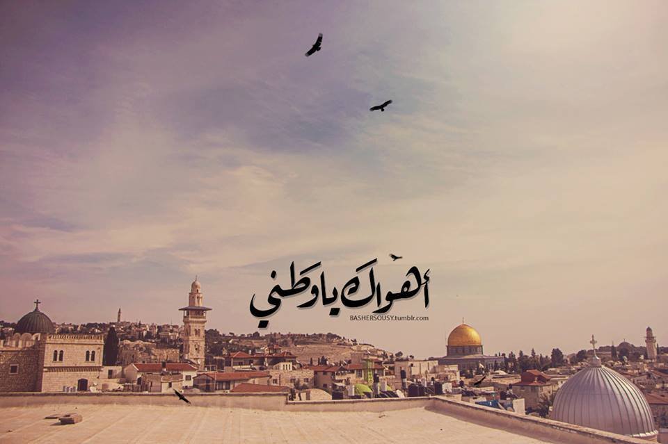 فلسطين تسكن فينا .. حين تعجز الإبادة عن قتل الروح  | موسوعة المخيمات الفلسطينية