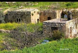 من محمية وادي القف بمنطقة الخليل توجد هالبيوت بعبق الماضي وجمال البيئة  | موسوعة المخيمات الفلسطينية