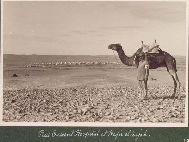 عوجة الحفير  ... ملامح من الوطن  | موسوعة المخيمات الفلسطينية