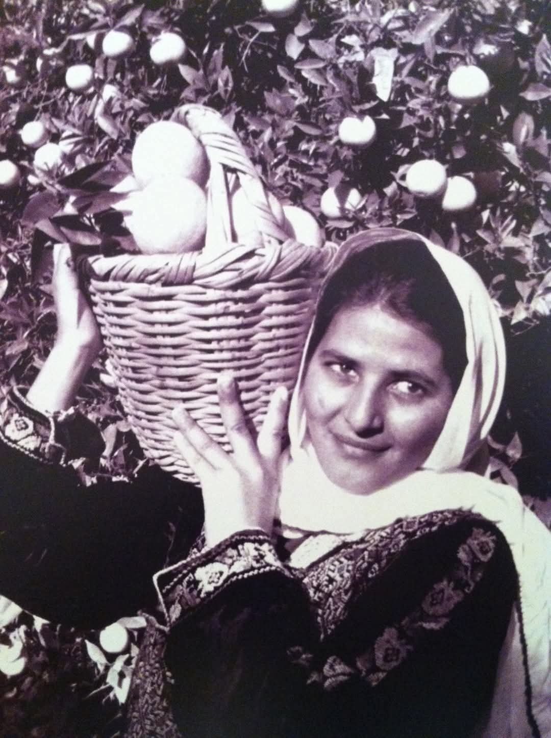 صورة من موسم القطيف في يافا - 1940 صورة من موسم القطيف في يافا - 1940