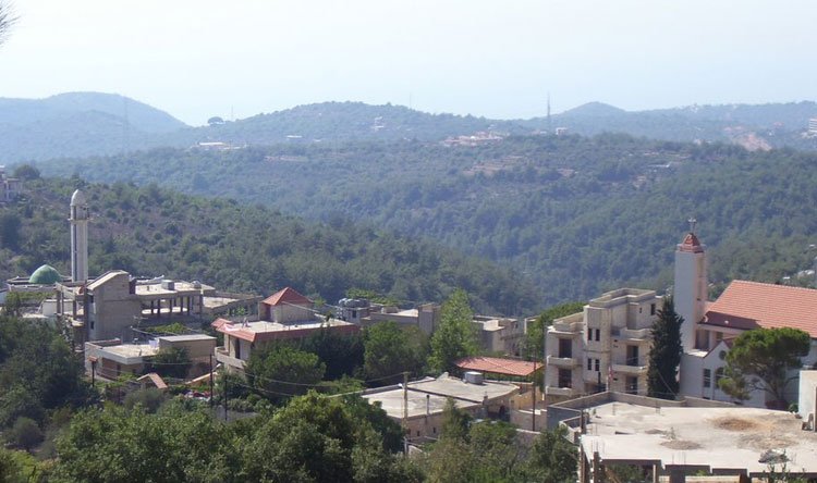 تجمع البرجين  | موسوعة المخيمات الفلسطينية