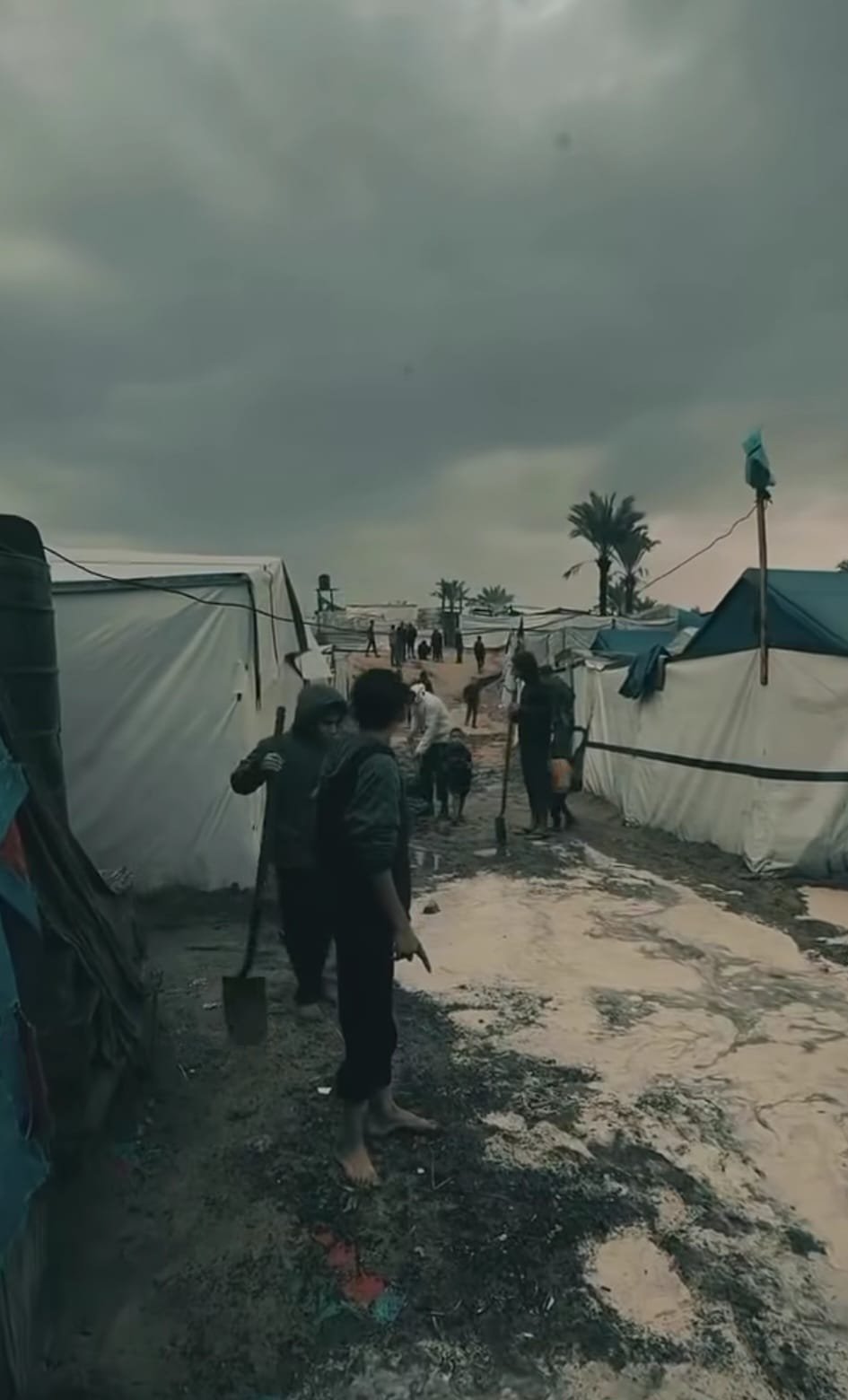 بدنا كرفانات .. عندما  تصبح أبسط حقوق الانسان أُمنية.  | موسوعة المخيمات الفلسطينية