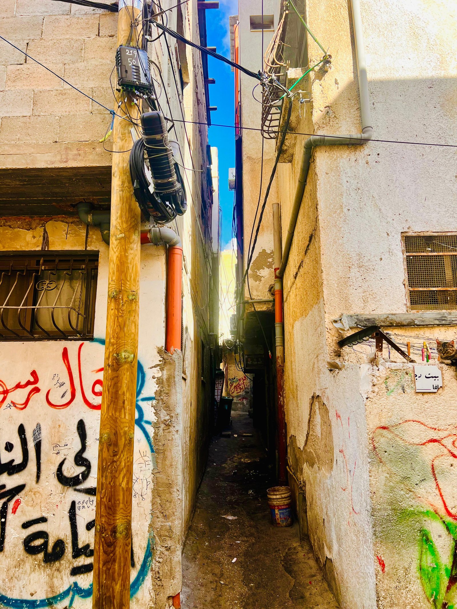 جولة لموسوعة المخيمات الفلسطينية في مخيم عسكر القديم يعدسة منية سلاطنة