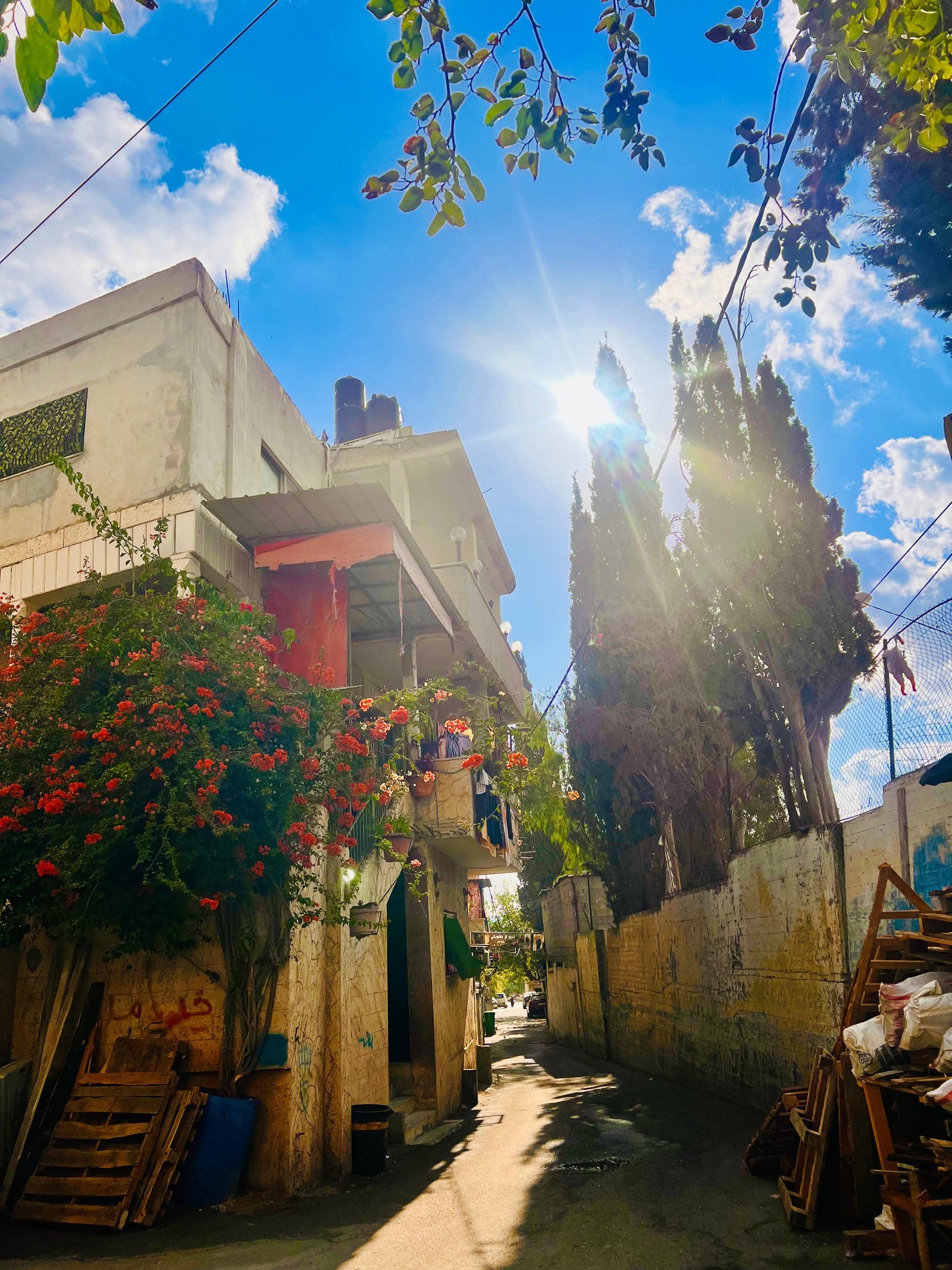 جولة لموسوعة المخيمات الفلسطينية في مخيم عسكر القديم يعدسة منية سلاطنة
