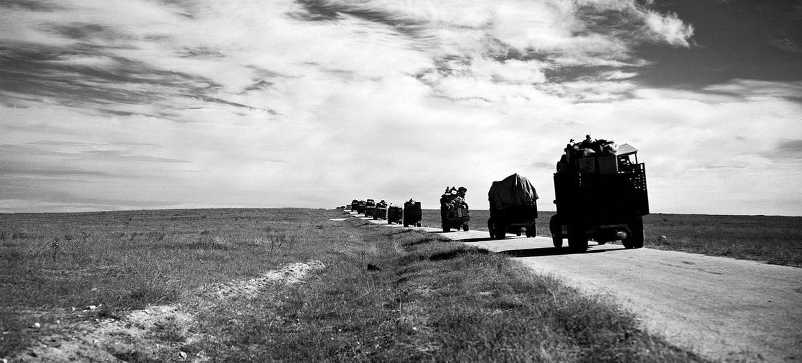شاحنات تنقل اللاجئين عام 1948 بين غزة والخليل، أرشيف الأنروا