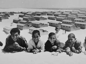 عيون ترقب المستقبل من قلب خيام اللجوء، أرشيف الأنروا