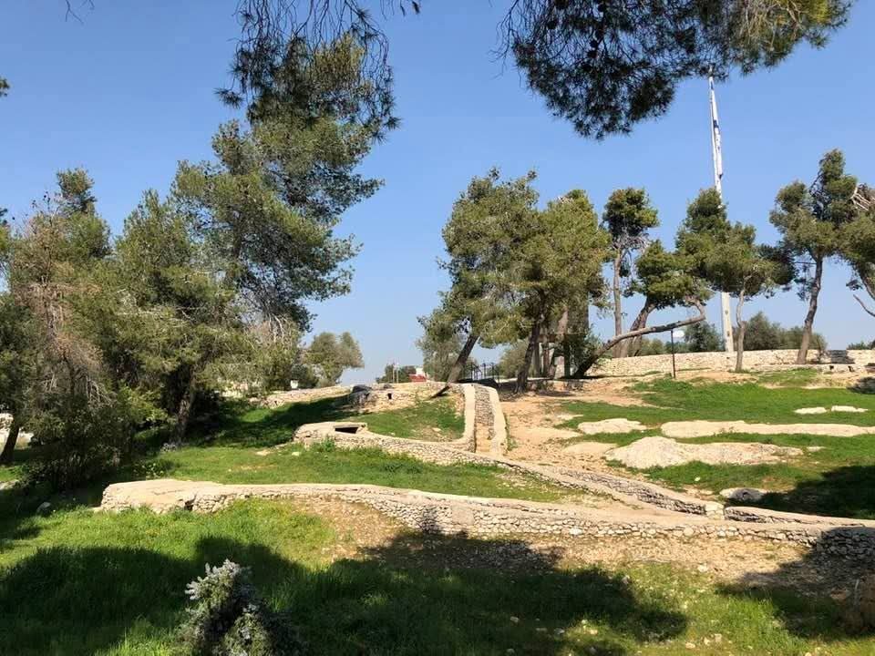 وسائط المقال تل المدورة .. القدس الشيخ جراح