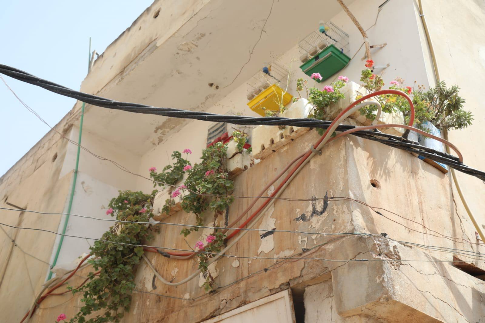 وسوعة المخيمات توثّق أحوال اللاجئين الفلسطينيين في محافظة درعا: عدسة لين محمد